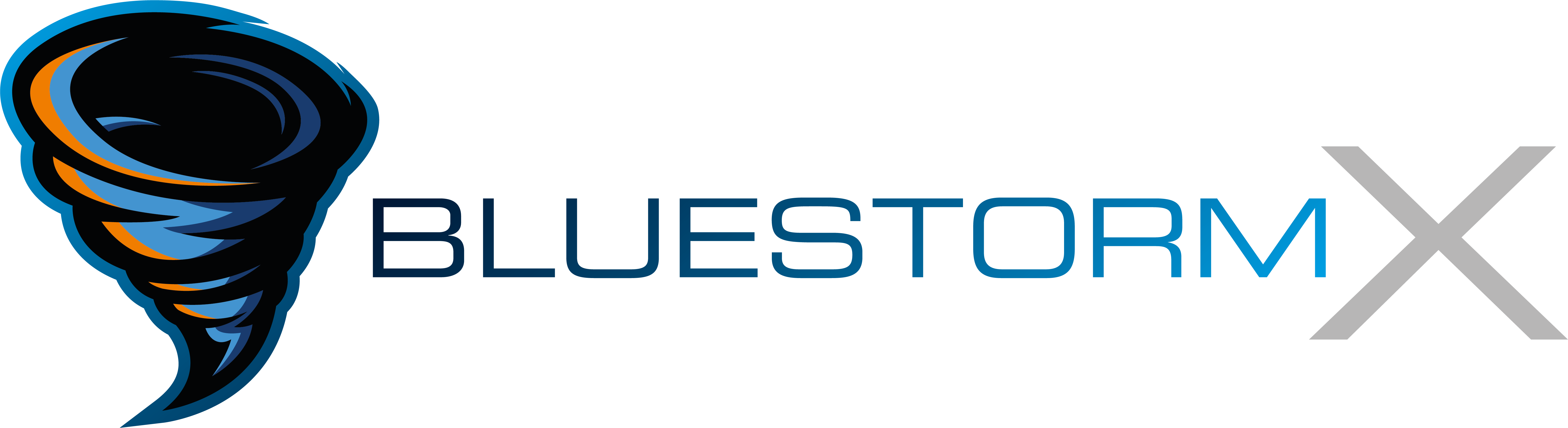 Logo von BlueStorm-X mit Schriftzug rechts daneben